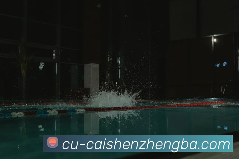 奖项证书